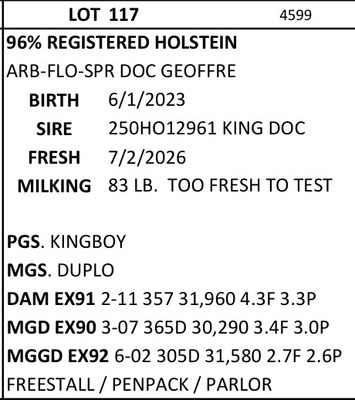 331131