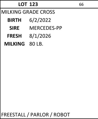 331146