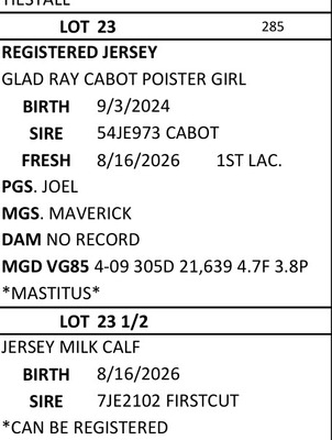 331185