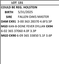 331161