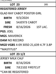 331185