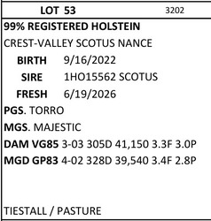 331388