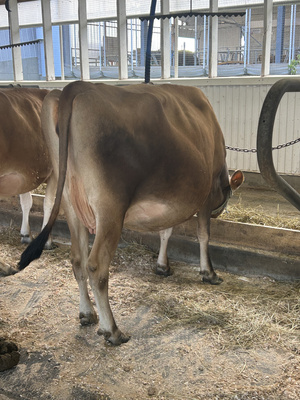 332112
