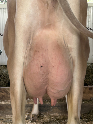 332156