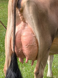 335123