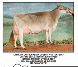 334446