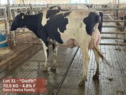 333108