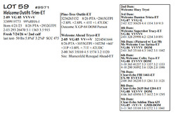 333335