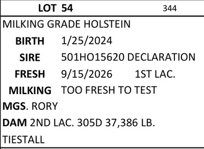 334808